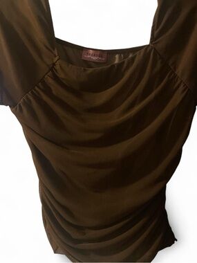 Ragdoll Brown Scoop Neck Short Sleeve Top